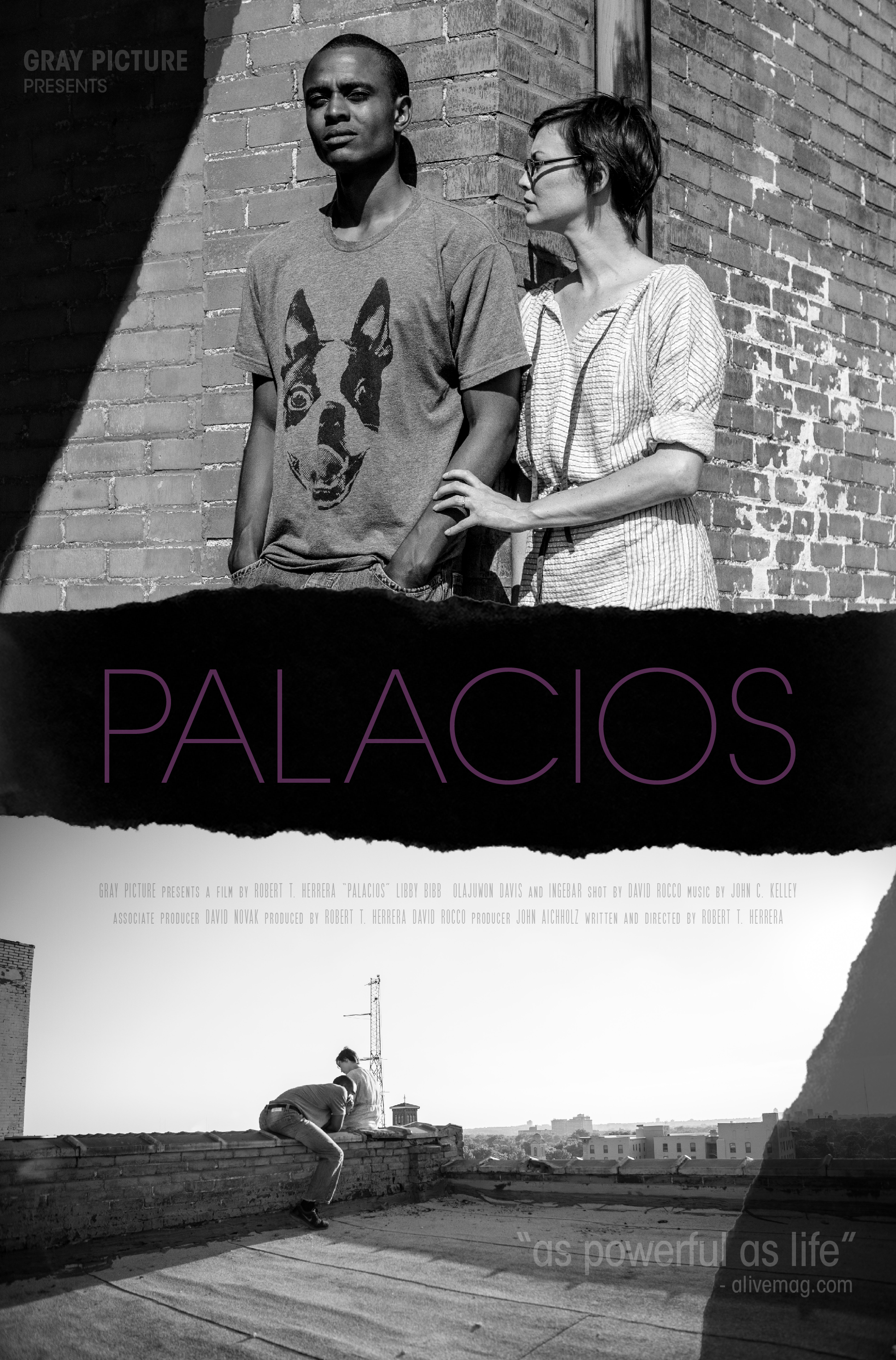 Palacios (2017)