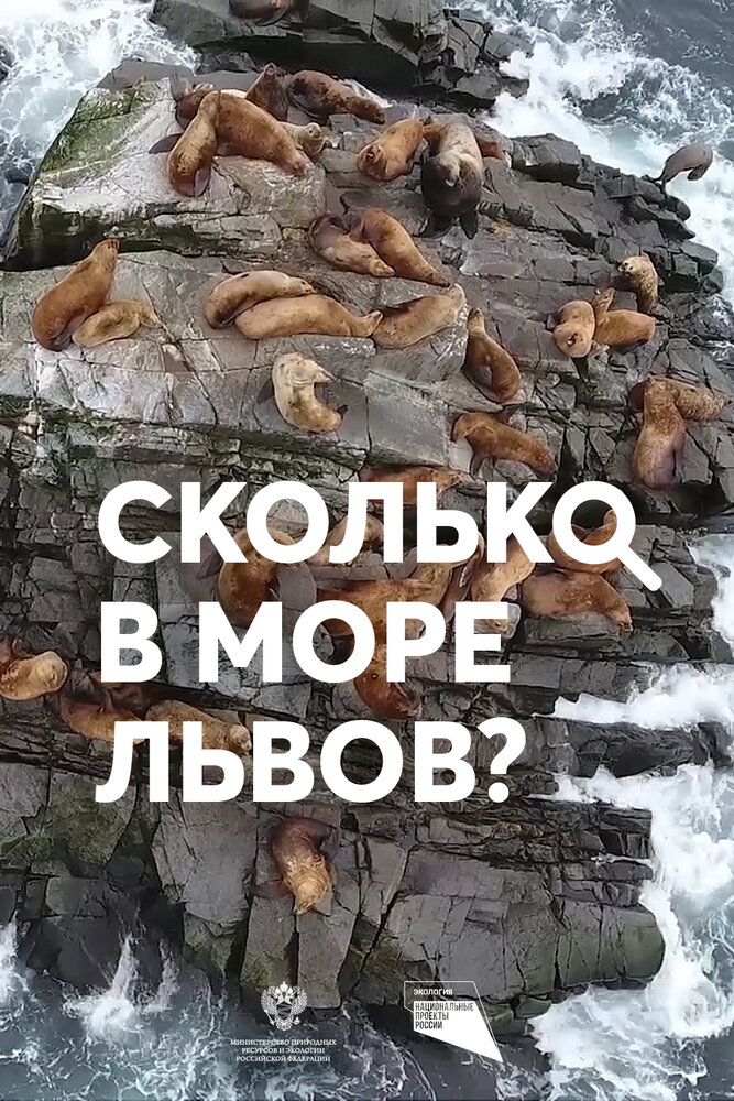 Сколько в море львов? (2018)