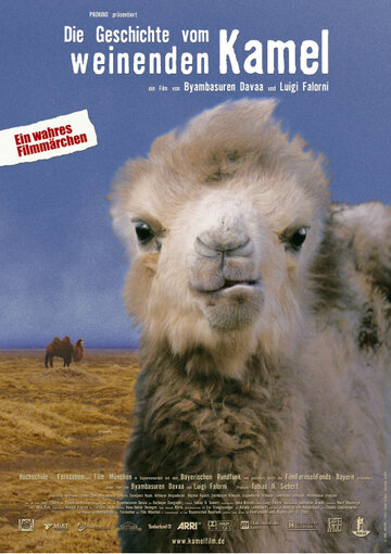 Рассказ плачущего верблюда (2003)